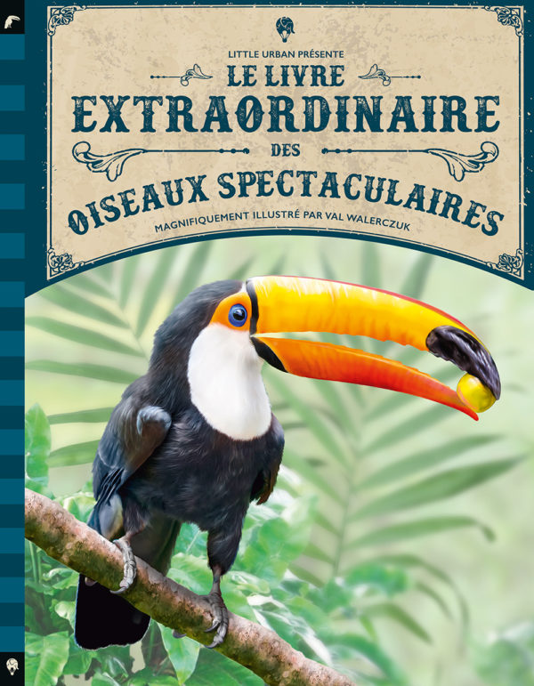 9782374083407-le-livre-extraordinaire-des-oiseaux-spectaculaires