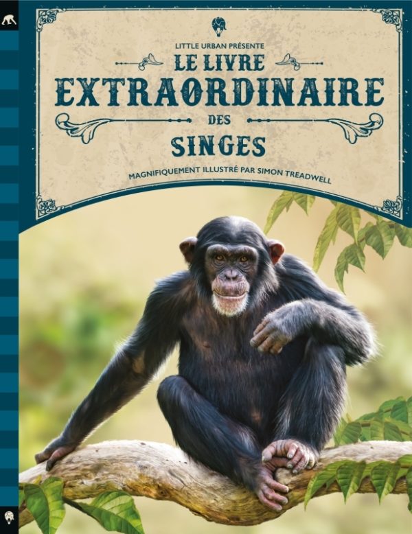 9782374085791-le-livre-extraordinaire-des-singes