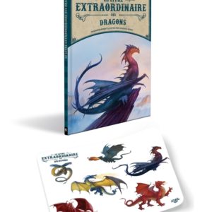 9782374085784-le-livre-extraordinaire-des-dragons--nouvelle-edition--stickers