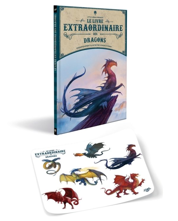 9782374085784-le-livre-extraordinaire-des-dragons--nouvelle-edition--stickers