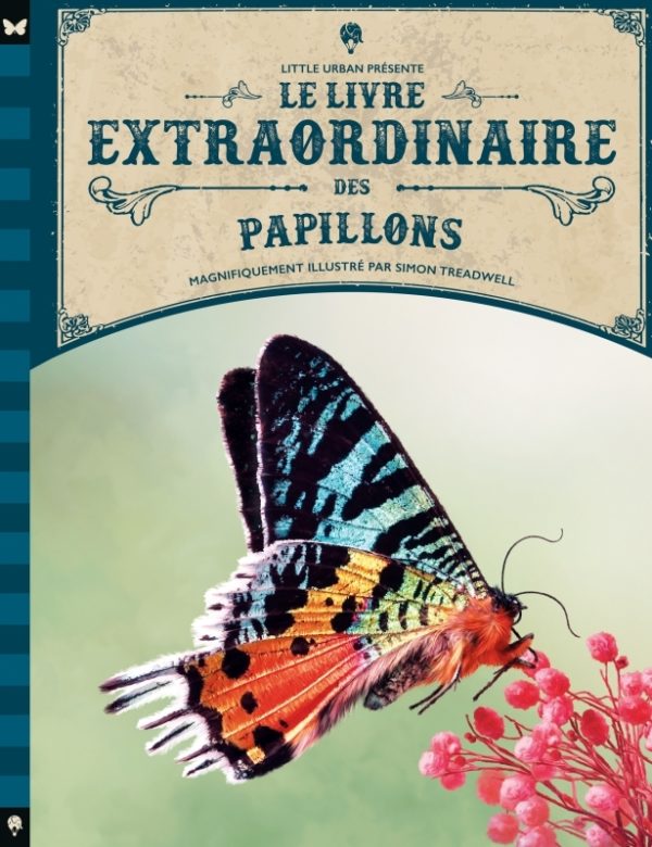 9782374086163-le-livre-extraordinaire-des-papillons