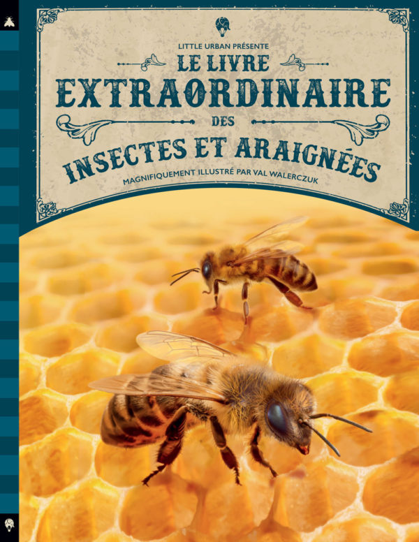 9782374085227-le-livre-extraordinaire-des-insectes-et-araignees