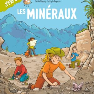 9782215188513-les-mineraux