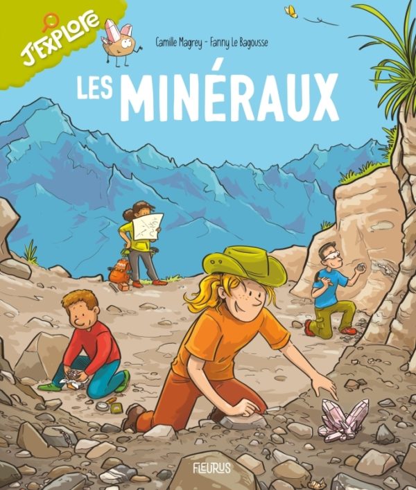 9782215188513-les-mineraux