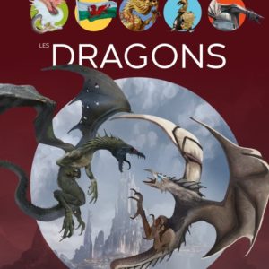 9782215179627-la-grande-imagerie-les-dragons