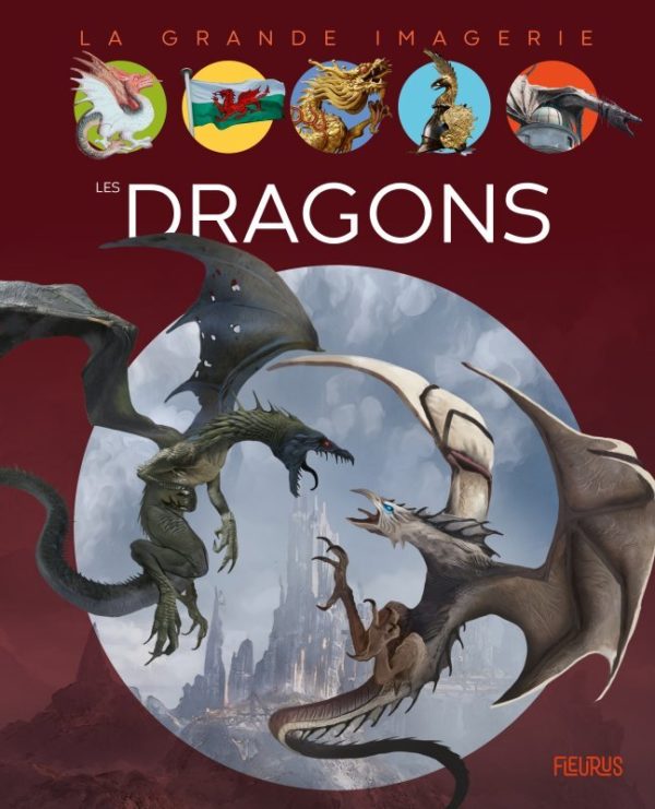 9782215179627-la-grande-imagerie-les-dragons