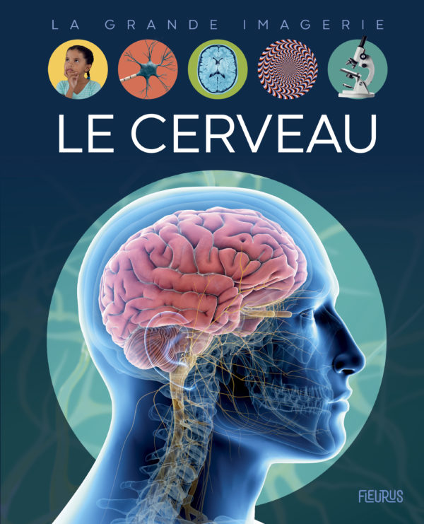 9782215176398-le-cerveau