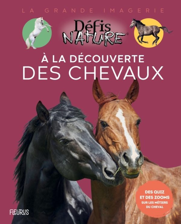 9782215182948-a-la-decouverte-des-chevaux