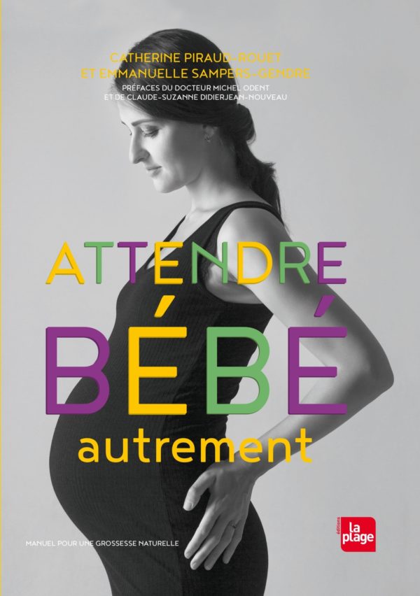 9782842217518-attendre-bebe-autrement-ned