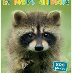 9782753074927-les-bebes-animaux-800-photos