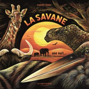 9791040113676-la-savane-une-nuit