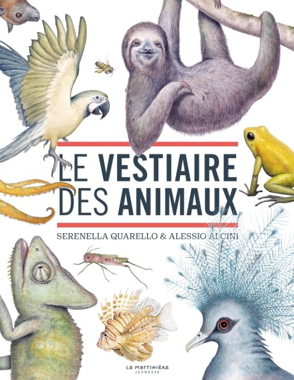 9791040115700-dans-le-vestiaire-des-animaux