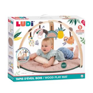 3550833200131-tapis-deveil-arche-bois