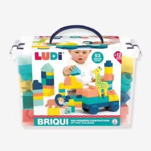 3550833300831-briqui