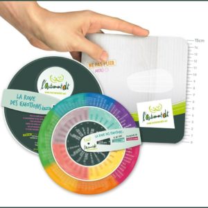 9782931084014-la-roue-des-emotions---adulte---poche