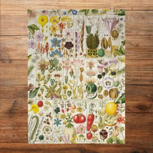 5012269071603-puzzle-1000-pcs---botanical-bliss