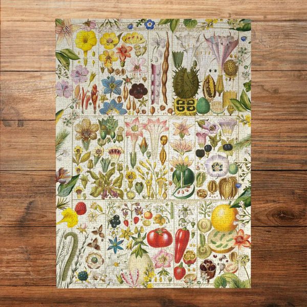 5012269071603-puzzle-1000-pcs---botanical-bliss