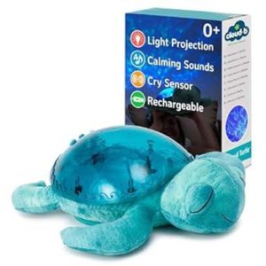 3700552320324-cloud---b---tranquil-turtle-aqua