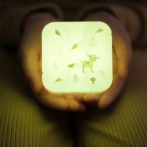 3700552320621-cloud-b-cube-b---foret