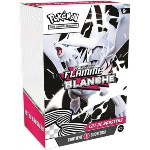 196214113404-ev-105-flamme-blanche