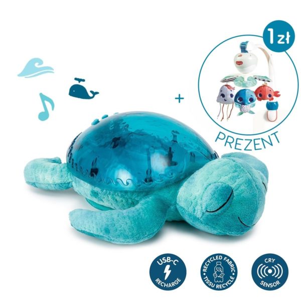 3700552320324-cloud---b---tranquil-turtle-aqua