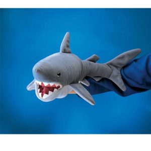 638348027771-j-requin