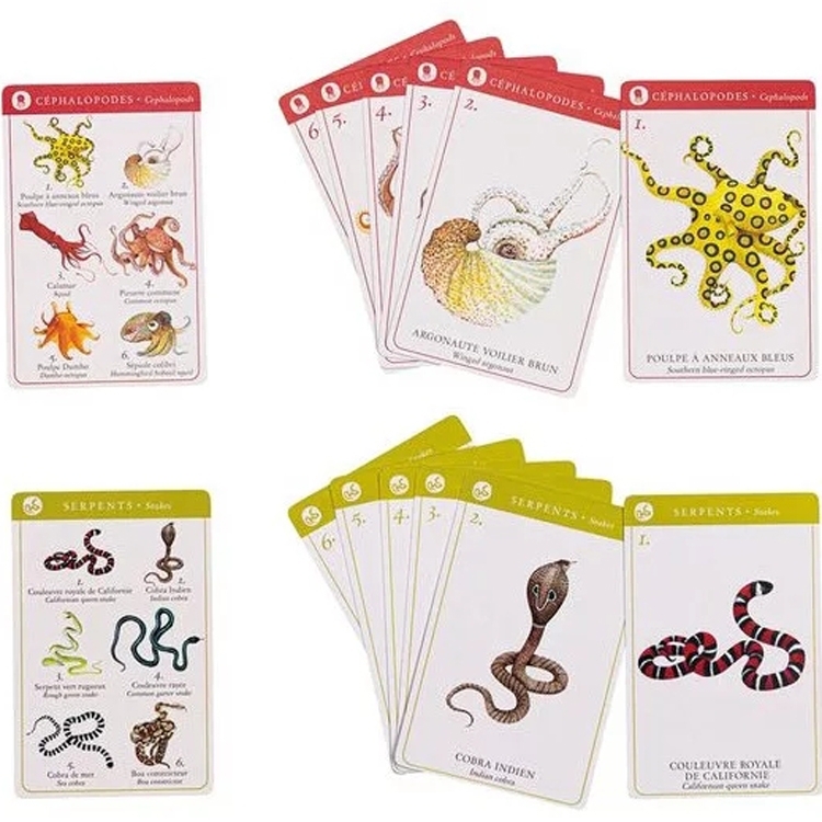 117351 3575677193623-jeu-de-7-familles-des-especes---tout-autour-du-monde