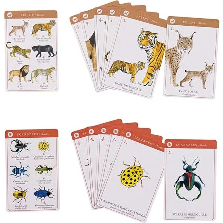 117352 3575677193623-jeu-de-7-familles-des-especes---tout-autour-du-monde