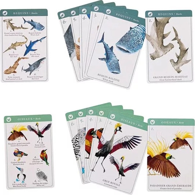 117353 3575677193623-jeu-de-7-familles-des-especes---tout-autour-du-monde