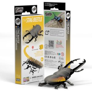 9421036940350-eugy---coleoptere-lucanidae