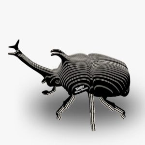 9421036940343-eugy-3d---coleoptere-rhinoceros
