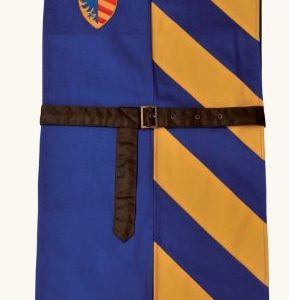 4260117183089-tunique-lancelot-jaune-et-bleue