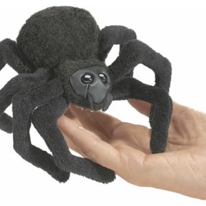 638348027542-araignee