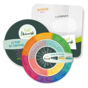 9782931084038-la-roue-des-emotions---adulte