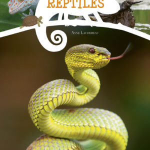 9782384860241-les-reptiles