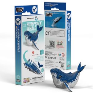 9421035150491-mbr-baleine-a-bosse