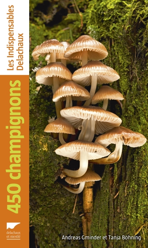 7ocaojlm5rhxph-_cbdtvxzgjfskcdvvpgdff6404g1b4jiprlnokw-cover-full 9782603025703-450-champignons