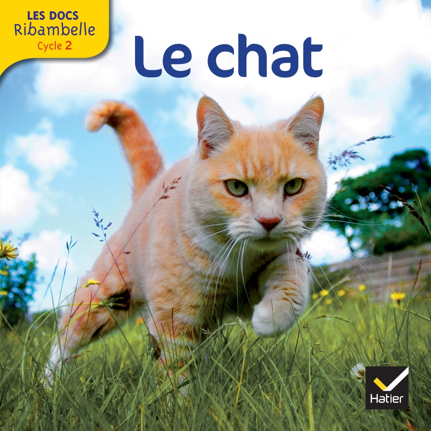 7ocaojlm5riucycie7dd5c6lvka1qdw8jmtokqtir5k5lhye56tajw-cover-full 9782218956652-les-docs-ribambelle-cycle-2-ed-2012---le-chat