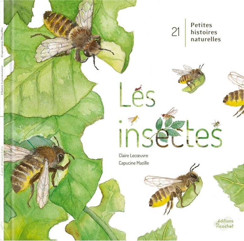 7ocaojlm5ribiiiuhkdtz__ueoac5cdmw-u_yodexqtbj_zlbzo3a-cover-full 9782352632801-les-insectes-