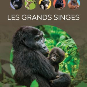 9782215194347-les-grands-singes