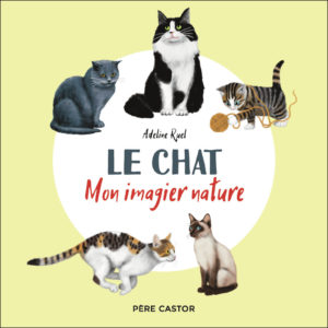9782080467867-le-chat