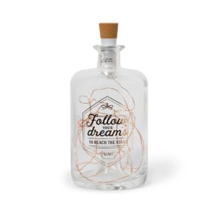 8054117620080-guirlande-en-bouteille-jar-of-stars