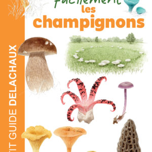 9782603031728-reconnaitre-facilement-les-champignons