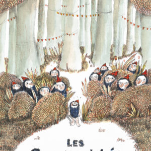 9782211339995-les-croucroutches