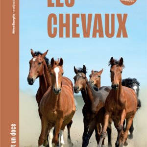 9782383557166-les-chevaux---mille-et-un-docs