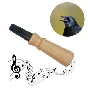 3700604402688-appeau---corneille-noire