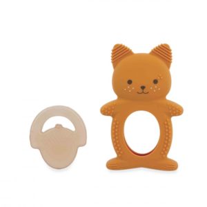 3666502080048-duo-dentition--refrigere---ecureuil