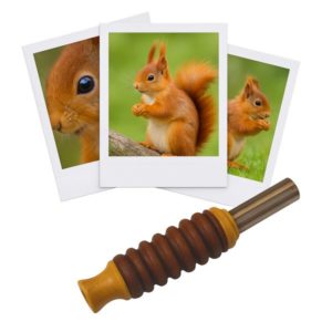 3700604406044-appeau---ecureil-roux