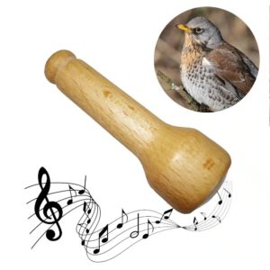 3700604401681-appeau---grive-musicienne