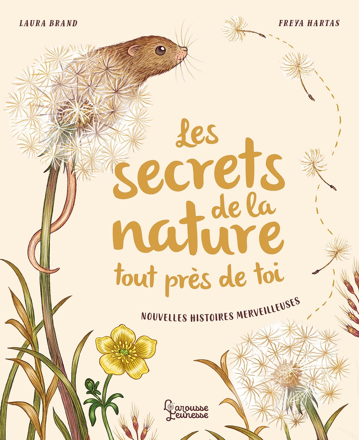 dipswikd9oqihvlcfwy1jbds4lbtaac8djfxq2_zgcinsfrbyrgkrw-cover-full-2 9782035872548-les-secrets-de-la-nature-tout-pres-de-toi